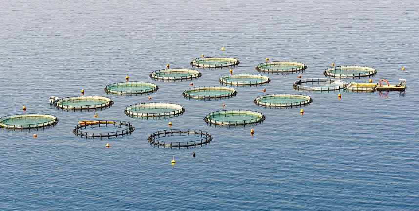 1705562094114214.jpg 2345_image_file_copy_37.jpg